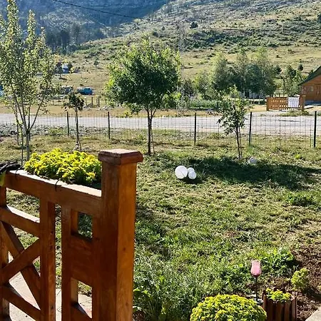 Irena Vakantiehuis Podgorica
