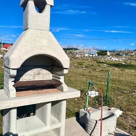 Irena Podgorica