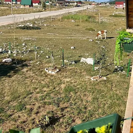 Nyaraló Irena Podgorica